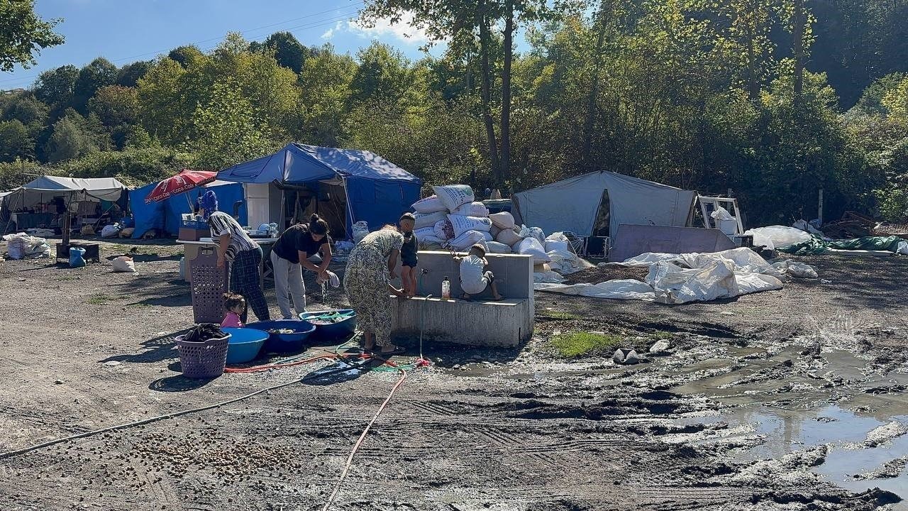 Alaplı&#039;da Fındık Sezonu &quot;Boş Fındıkçılar&quot; İçin Yeni Bir Kazanç Kapısı Açtı