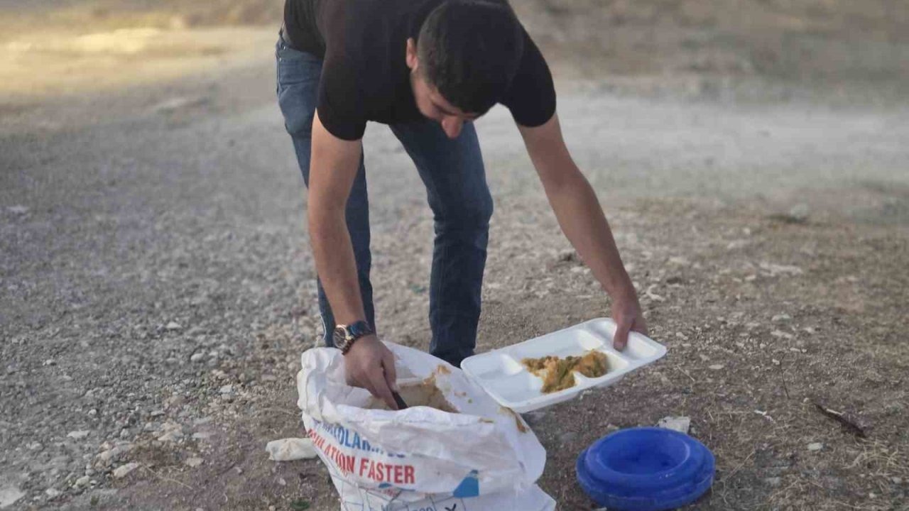 İnşaat Ustası Yozgat&#039;a Dönüş Yolunda Sokak Hayvanlarını Besliyor