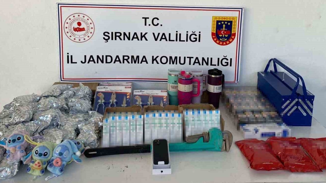 Şırnak’ta jandarma ekipleri 14 milyonluk kaçakçılığı önledi