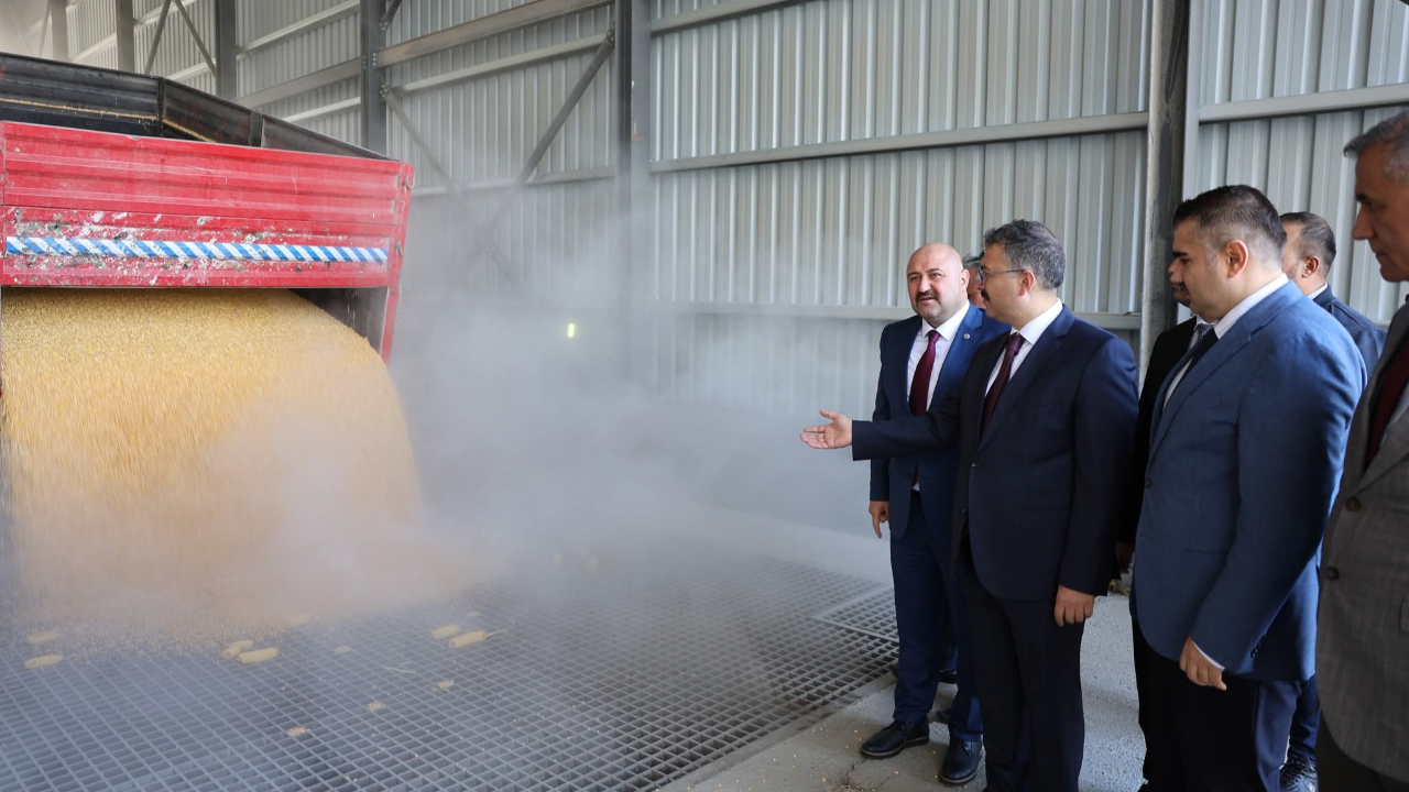 Iğdır’da TMO, Kaan Tarım Deposu Üzerinden Mısır Alımına Başladı