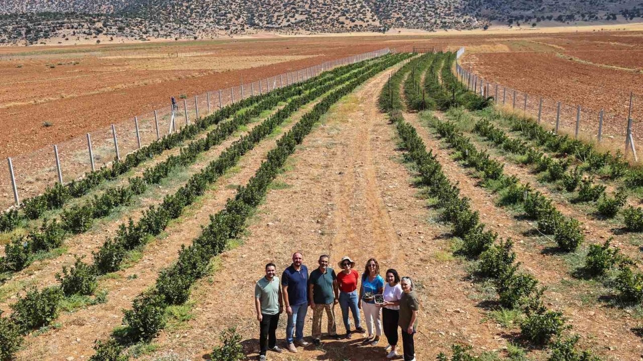 Korkuteli'de Sulama Suyu Projesi Tarımsal Üretime Hayat Verdi