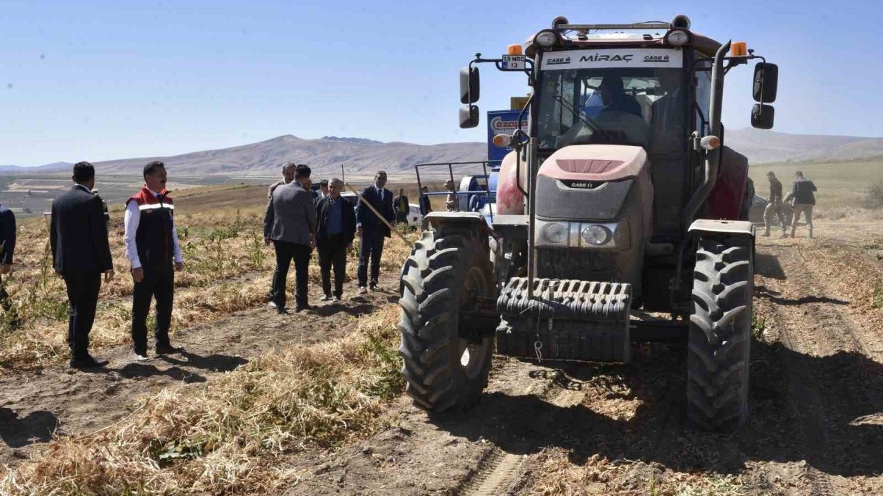 Bitlis&#039;in Kuru Fasulyesi Türkiye Sofralarını Şenlendiriyor