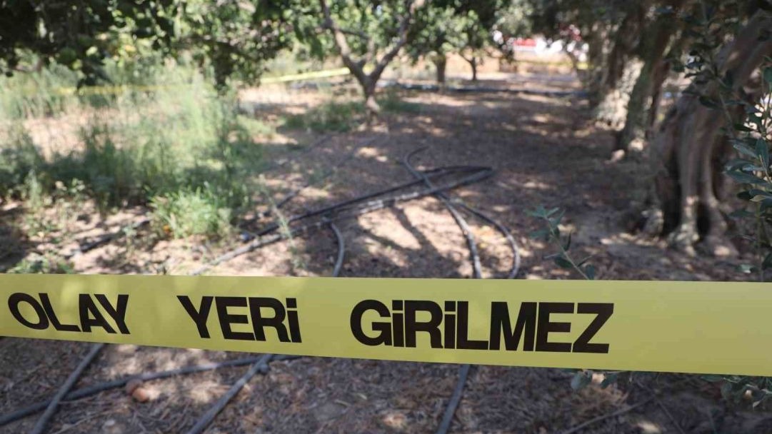 Hatay&#039;da Satırlı Cinayet: Zanlı, İz Takip Köpeği &#039;Pamuk&#039; Sayesinde 150 Bin TL Gasp Parasıyla Yakalandı