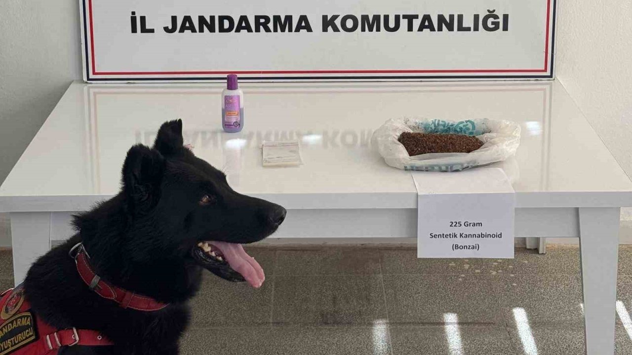 Muş&#039;ta Uyuşturucu Operasyonu: 225 Gram Bonzai ve Malzemeler Ele Geçirildi