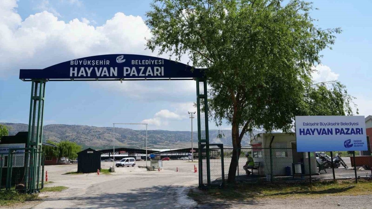 Hayvan Pazarı Şap Hastalığı Nedeniyle Geçici Olarak Kapatıldı