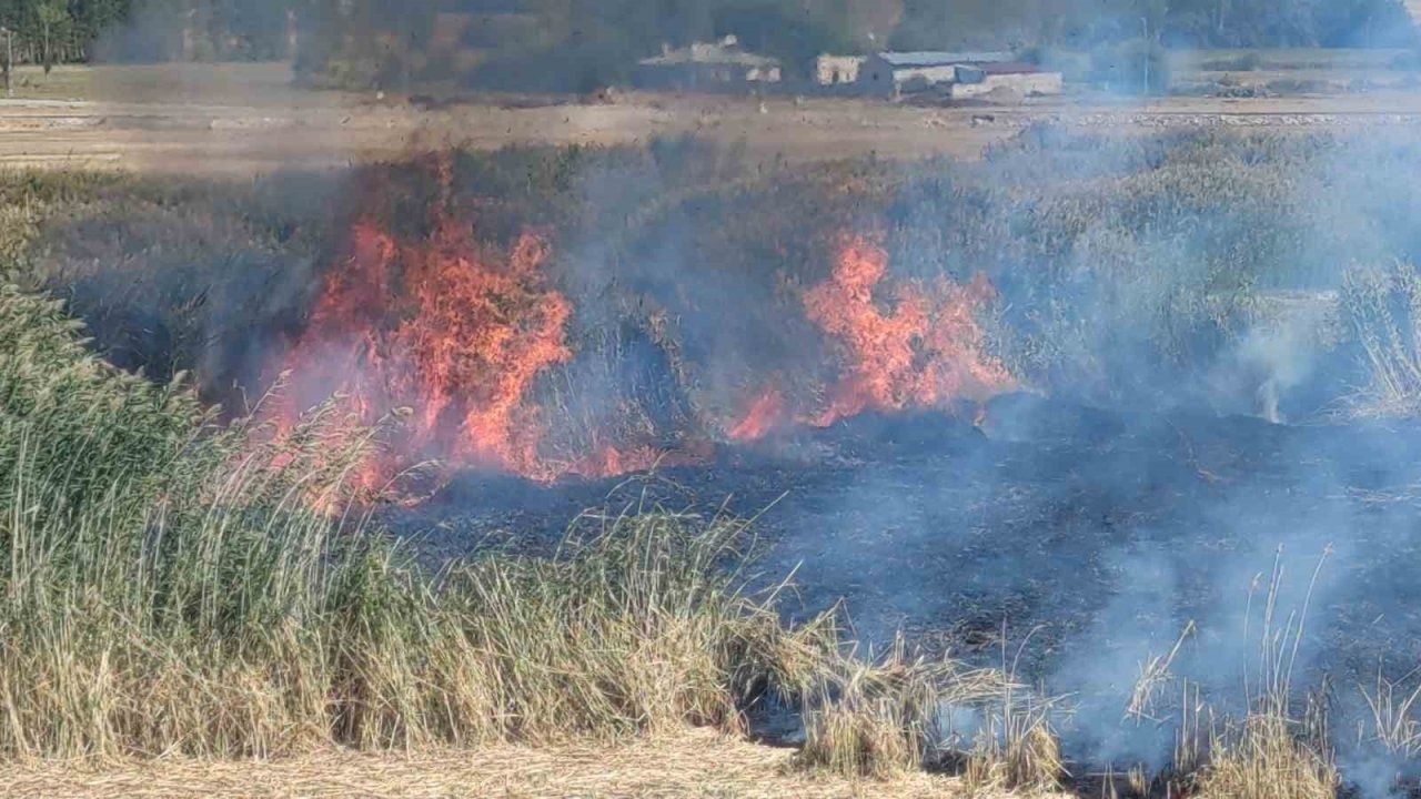 Göçmen Kuşların Yuvası Erçek Gölü'nde Sazlık Yangını