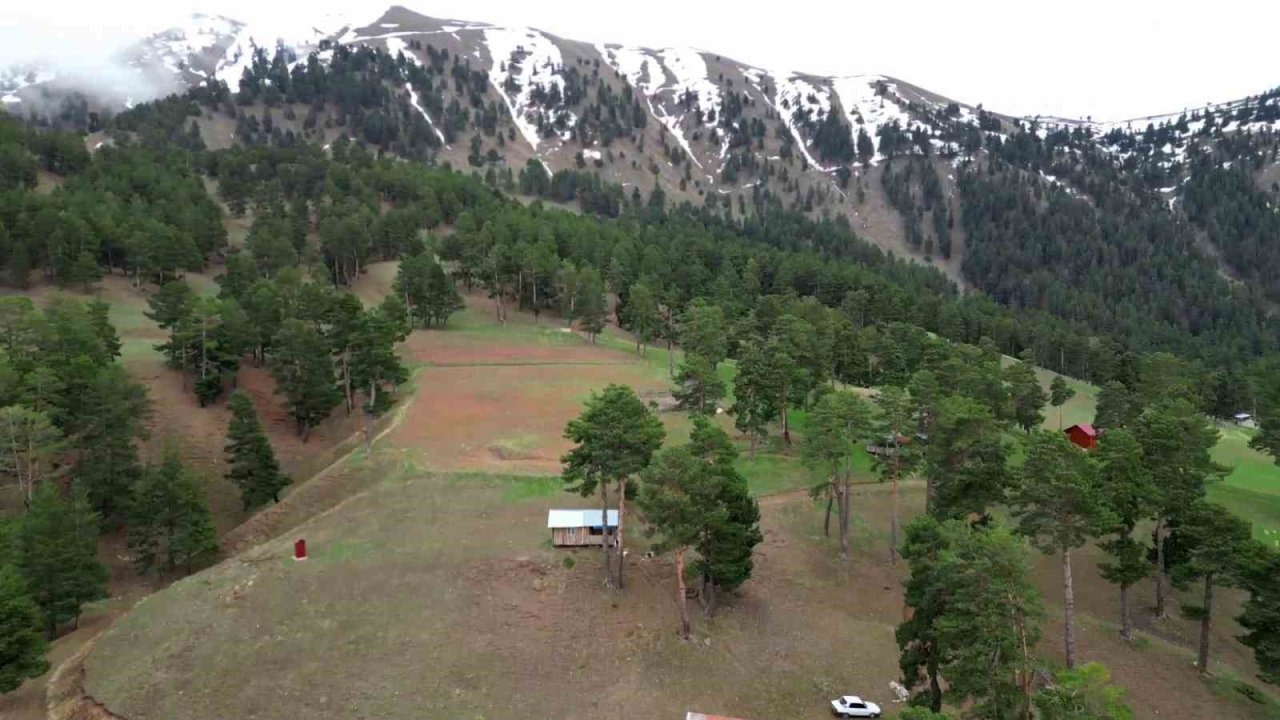 Erzurum'da Erken Kar Sürprizi: Yeşil ve Beyaz Buluştu