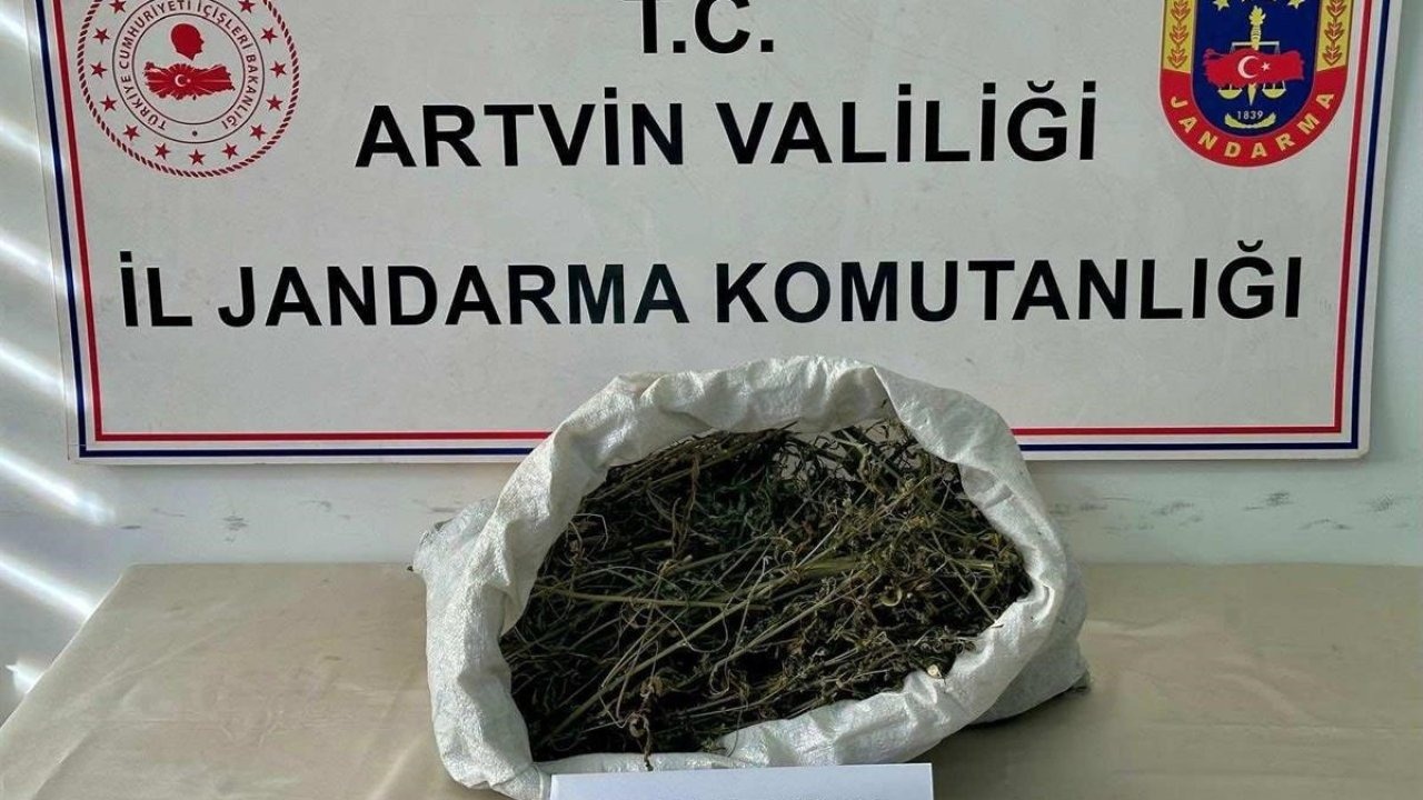 Hopa'da Uyuşturucu Operasyonu: 1 Kilogram Esrar Ele Geçirildi, 1 Tutuklama