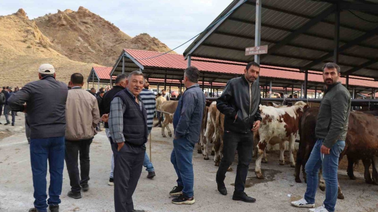 Oltu Canlı Hayvan Pazarı Yeniden Açıldı: 3 Aylık Durgunluk Bitti, Fiyatlar Belirlendi