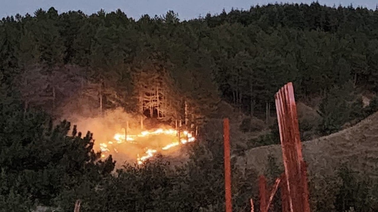 Bingöl Genç’te Orman Yangını Kontrol Altına Alındı