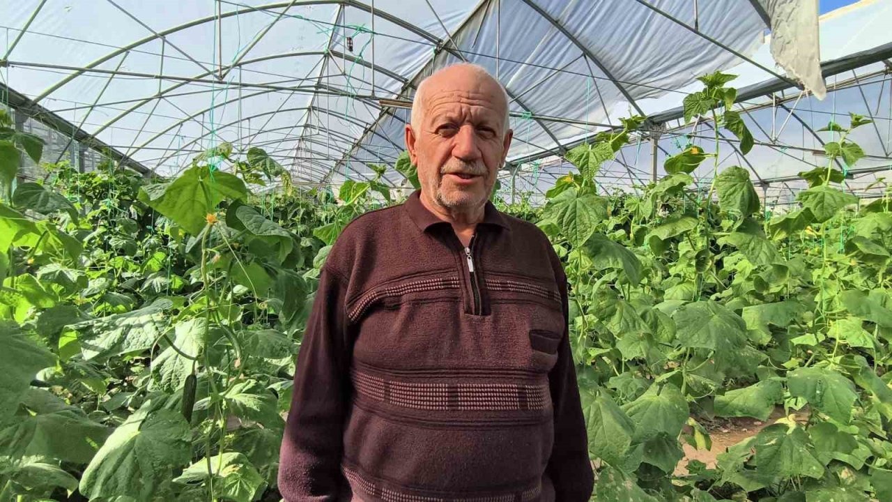 Erzurum’da Tarıma Dev Katkı: Doğu Anadolu’nun En Büyük Serasında Yaz Kış Üretim Sürüyor