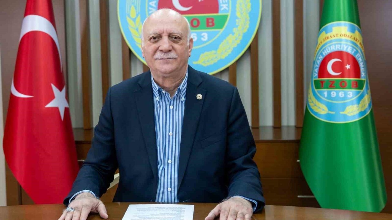 TZOB Açıkladı: Eylül Ayında Markette Fiyat Şampiyonu Marul Oldu!