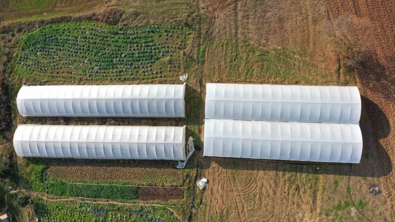 Çiftçilere yüzde 50 hibeli modern sera