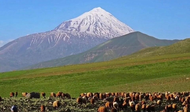 KARAKOYUNLU DEVLETİ&#039;NİN IĞDIR&#039;A SİYASİ, SOSYAL VE KÜLTÜREL ETKİLERİ. :