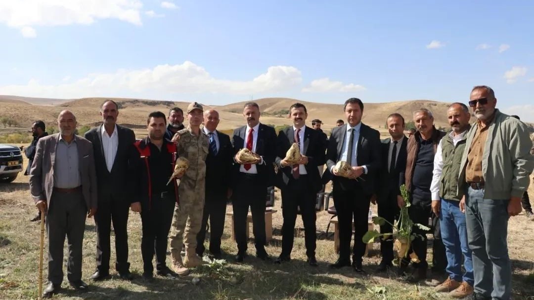 Ağrı Tutak&#039;ta Şeker Pancarı Hasadı Başladı: Çiftçinin Yüzü Güldü