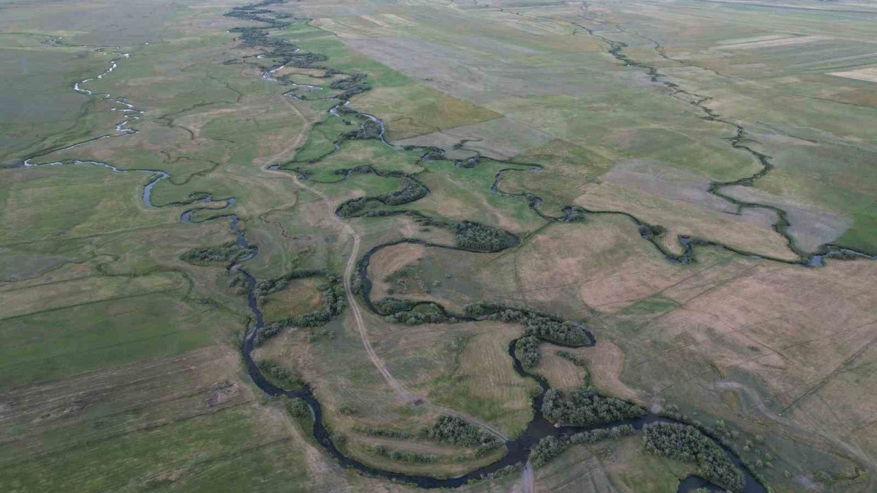 Ardahan Ovası&#039;nın Doğal Ahengi: Menderesler Sonbaharda Göz Kamaştırıyor
