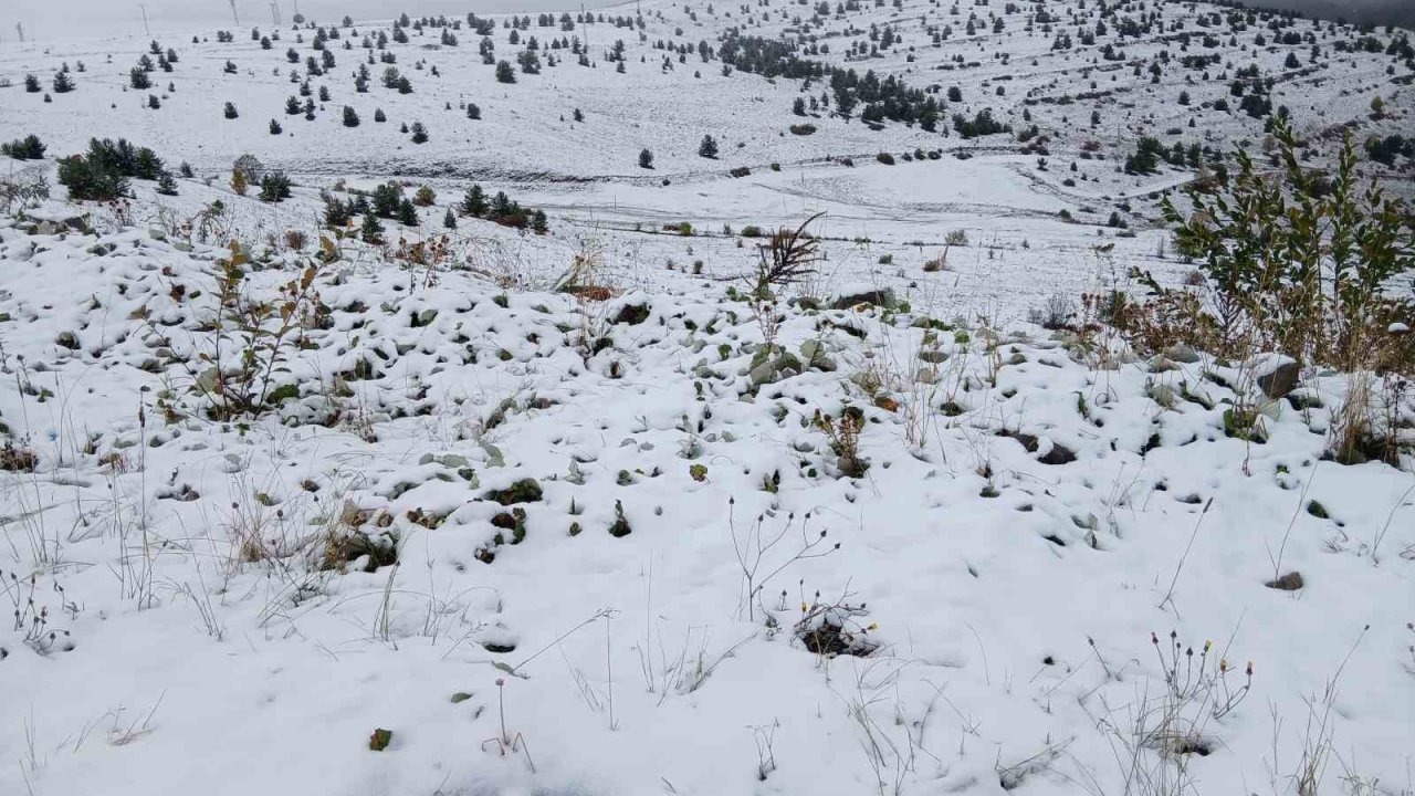 Ardahan’ın Posof İlçesini Kar Kapladı: Yeşille Beyazın Muhteşem Dansı