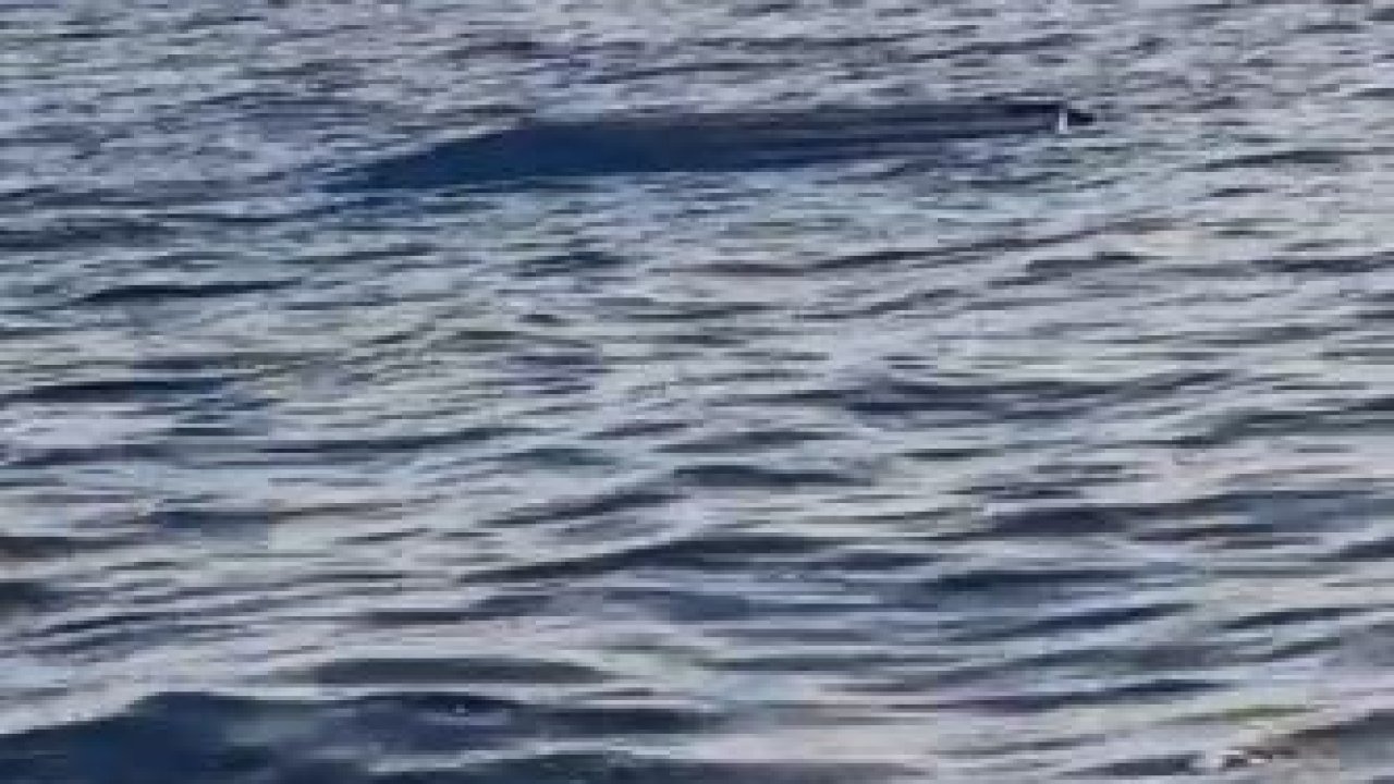 Artvin Açıklarında Şüpheli Cisim Alarmı: Balıkçılar İnsansız Deniz Aracı Sandı