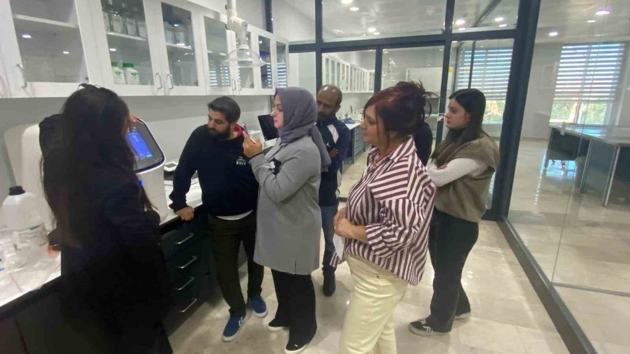 Atatürk Üniversitesi Biyoçeşitlilikte Çığır Açıyor: TÜBİTAK&#039;tan 36.6 Milyon TL Bütçeyle İki Uluslararası Proje Desteği