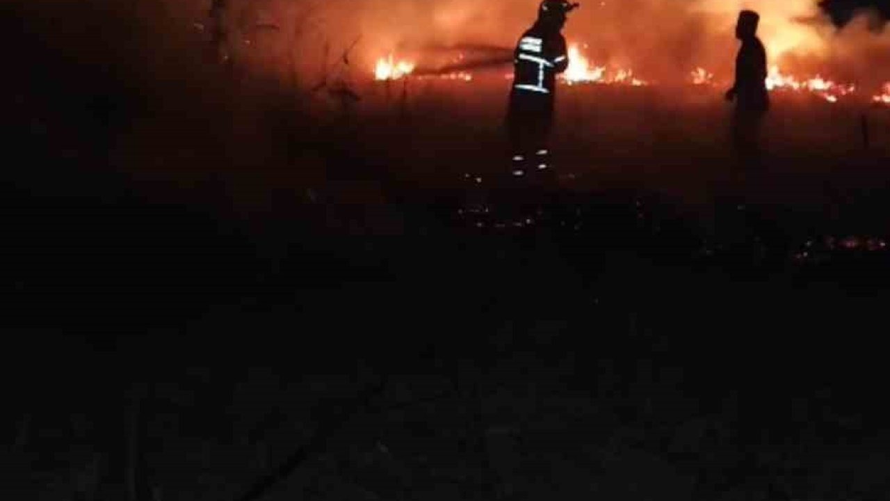 Batman’da anız yangını: 30 dönümlük alan kül oldu