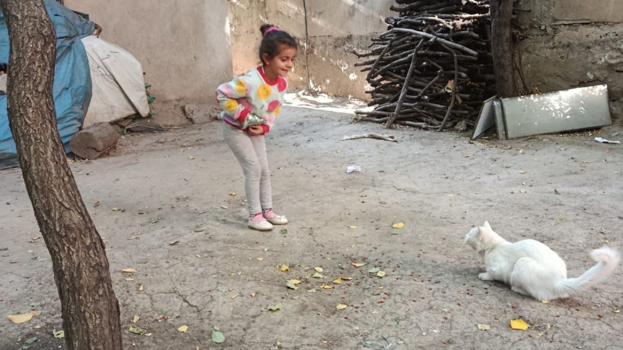 Çatak’ta Minik Öğrencilerden &quot;Hayvanları Koruma Günü&quot;nde Sokak Hayvanlarına Mama Desteği
