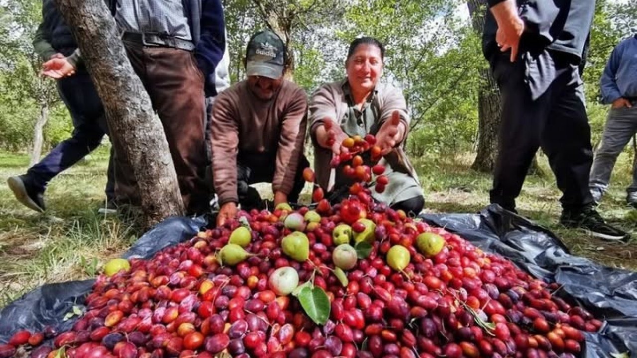 Çıldır’da 3. Cancur Festivali Coşkusu: Birlik ve Beraberlik Vurgusu