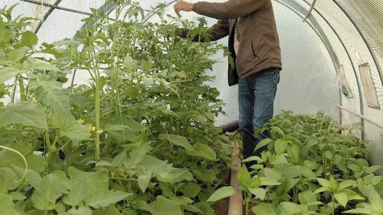 Diyadinli Berber Turan Karip, 40 Metrekarelik Hobi Bahçesiyle Doğal Üretime İlham Oluyor