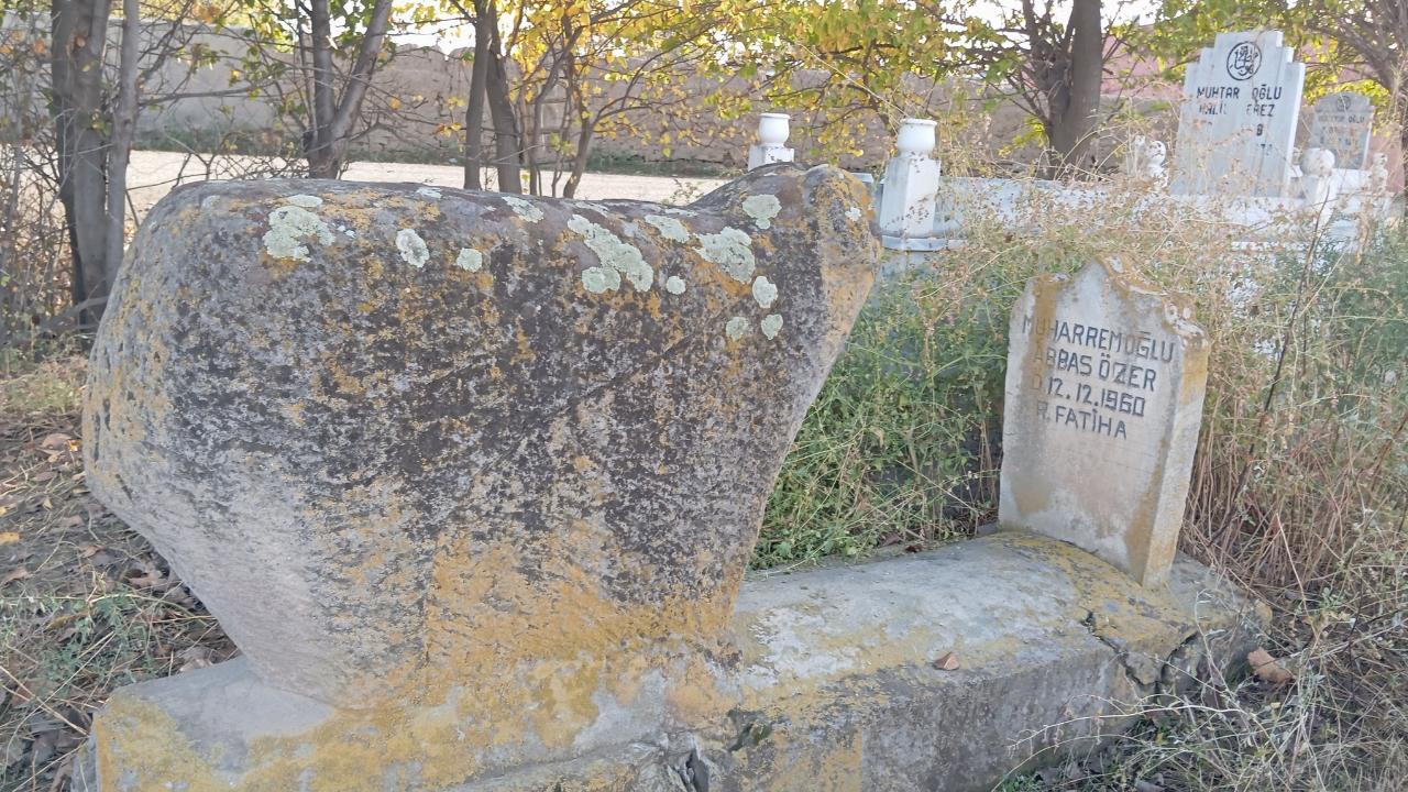 DİZELİ MEŞE ABBAS: (19. Yüzyıl Başlarında Iğdır’ın Sessiz Kahramanı)