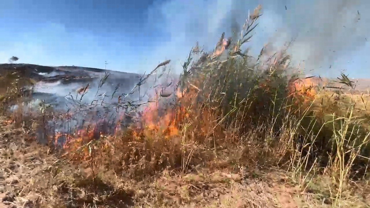 Elazığ’da otluk alanda yangın