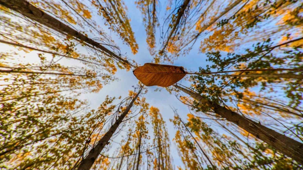 Erzincan ve Tunceli Sınırındaki Munzur, Ergan ve Keşiş Dağları&#039;nda Sonbahar Şöleni