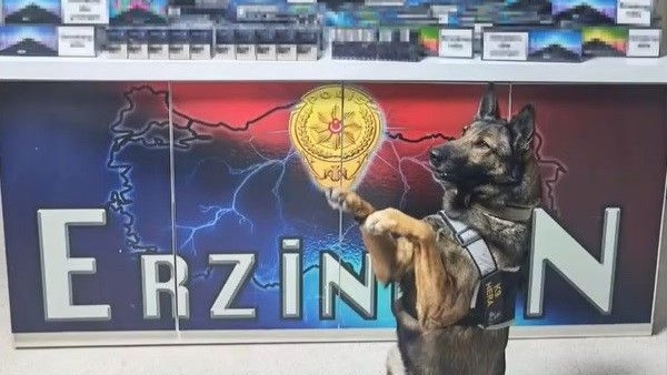 Erzincan'da Dev Kaçakçılık Operasyonu: 11 Bin 600 Adet Elektronik Sigara ve 7 Bin Paket Kaçak Sigara Ele Geçirildi