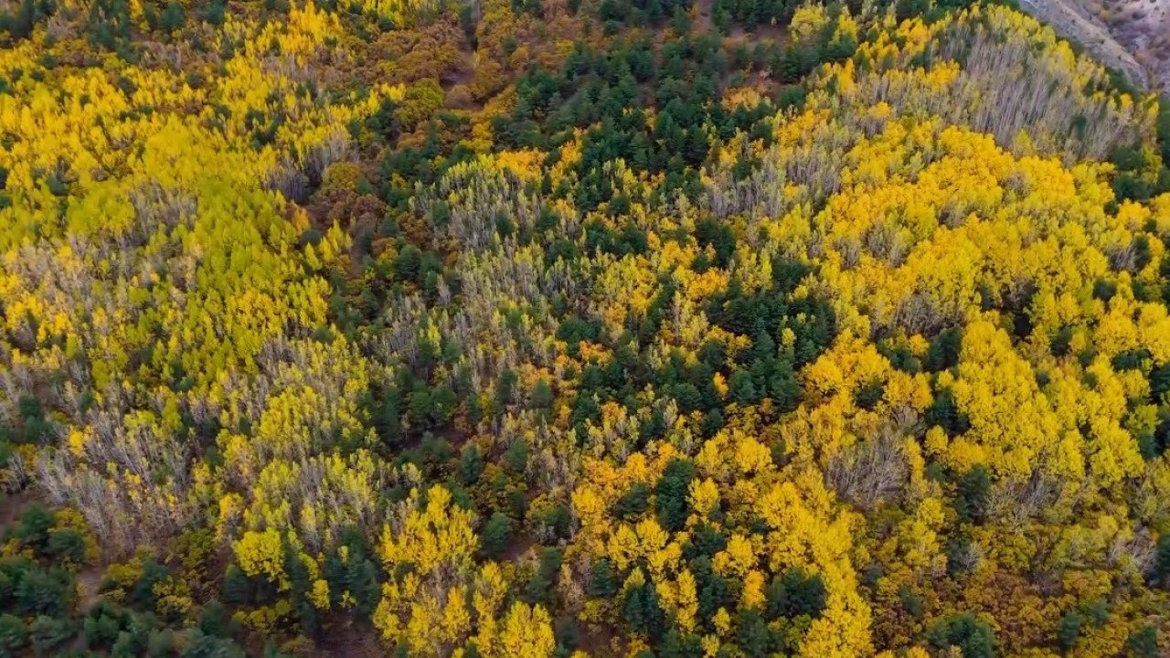 Erzincan&#039;da Sonbahar Coşkusu: Munzur Dağları’nda Renk Cümbüşü Havadan Görüntülendi
