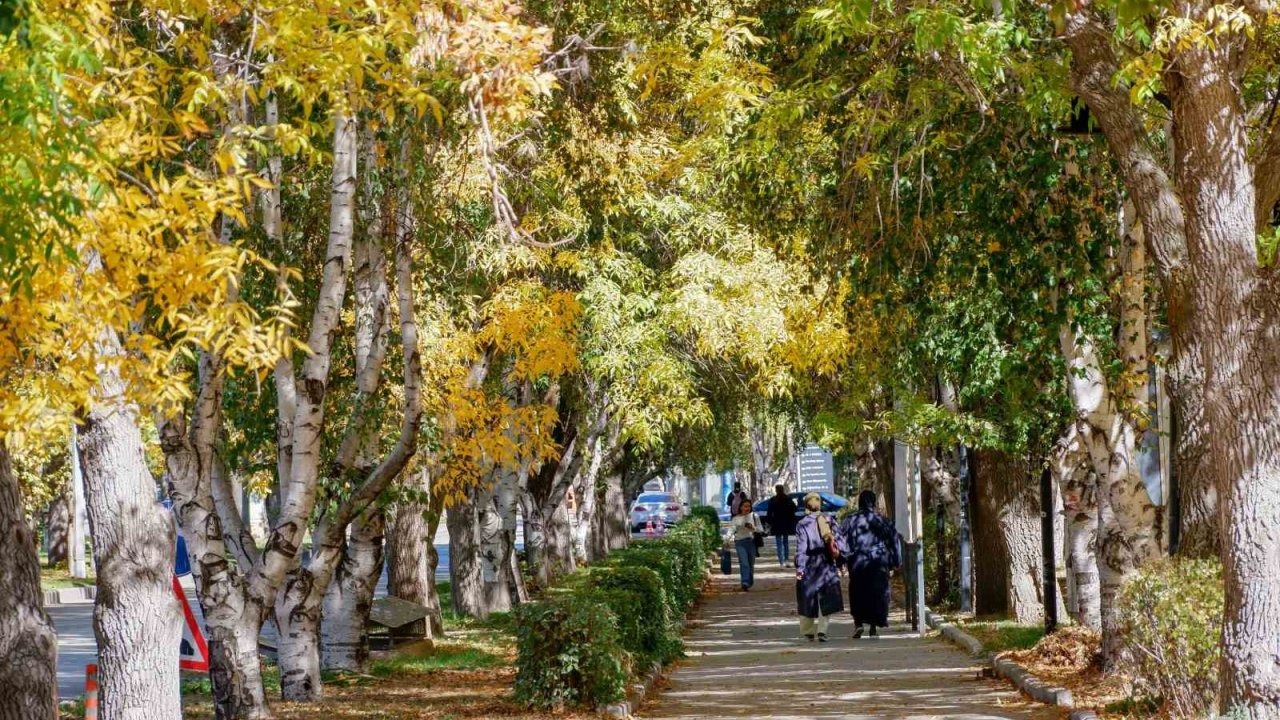 Erzurum Meteoroloji’den Kuvvetli Rüzgar ve Kar Yağışı Uyarısı