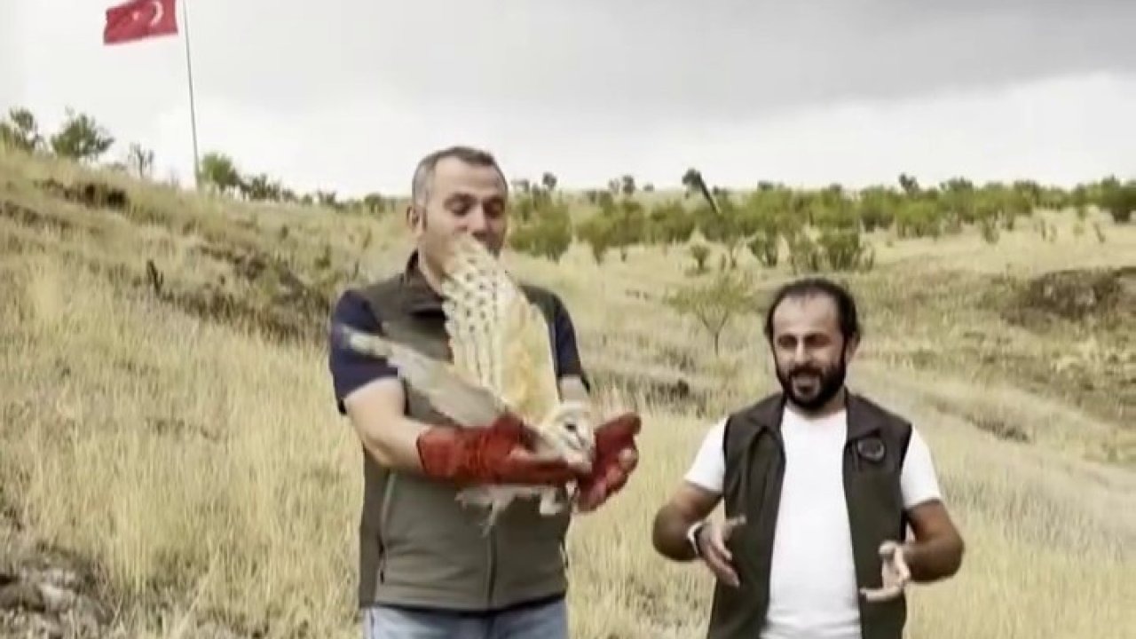 Erzurum’da Tedavisi Tamamlanan Peçeli Baykuş Yeniden Doğaya Salındı
