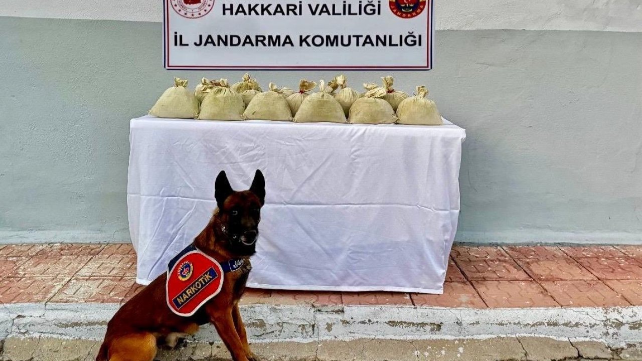 Hakkari&#039;de Uyuşturucu Operasyonu: 15 Kilo Esrar Ele Geçirildi, 1 Tutuklama