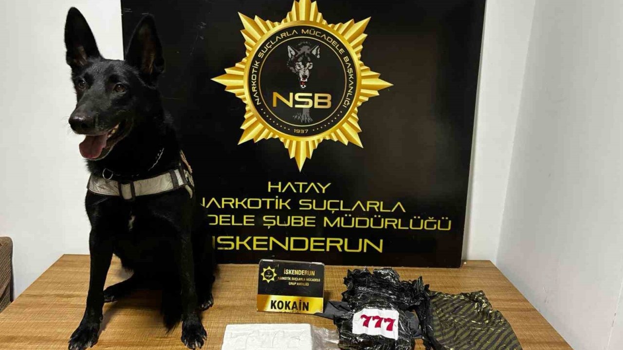 Hatay&#039;da Narkotik Köpek Kaputun Altına Saklanmış 5.5 Milyon TL Değerindeki Kokaini Buldu!