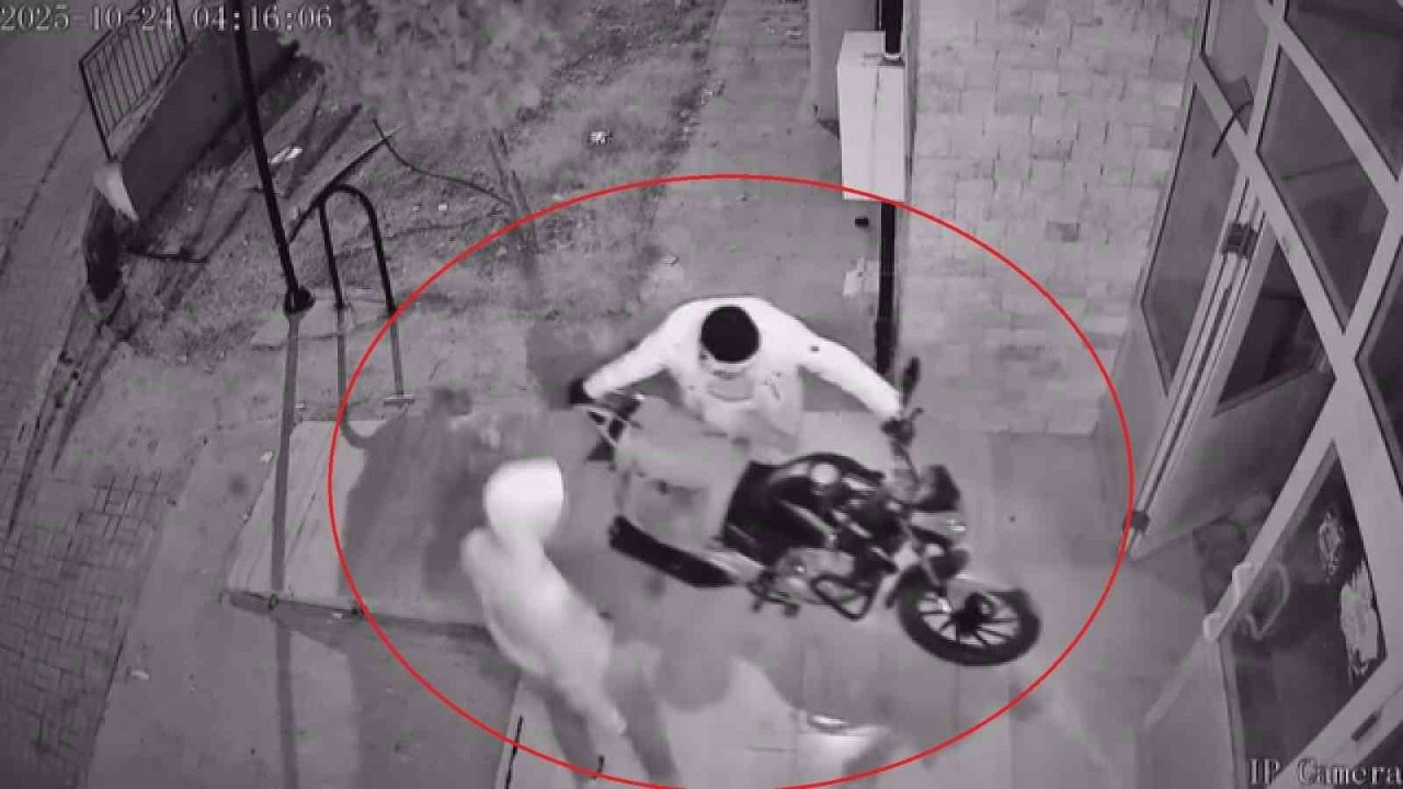 Hatay'da ‘Rahat’ Motosiklet Hırsızlığı Kamerada