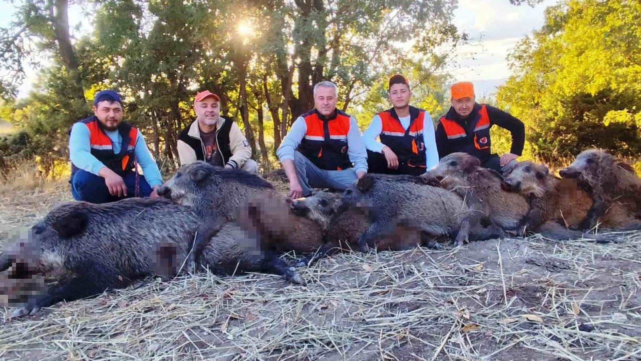 Hisarcık&#039;ta Korkunç Av: 6 Saatte 7 Yaban Domuzu Vuruldu