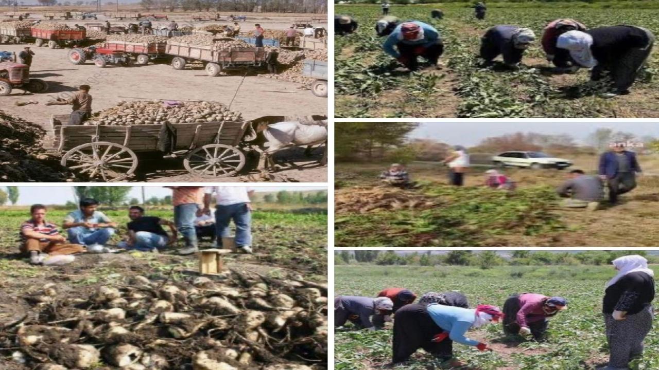 IĞDIR, UMUDUN VE BEREKETİN ŞEHRİ OLACAK