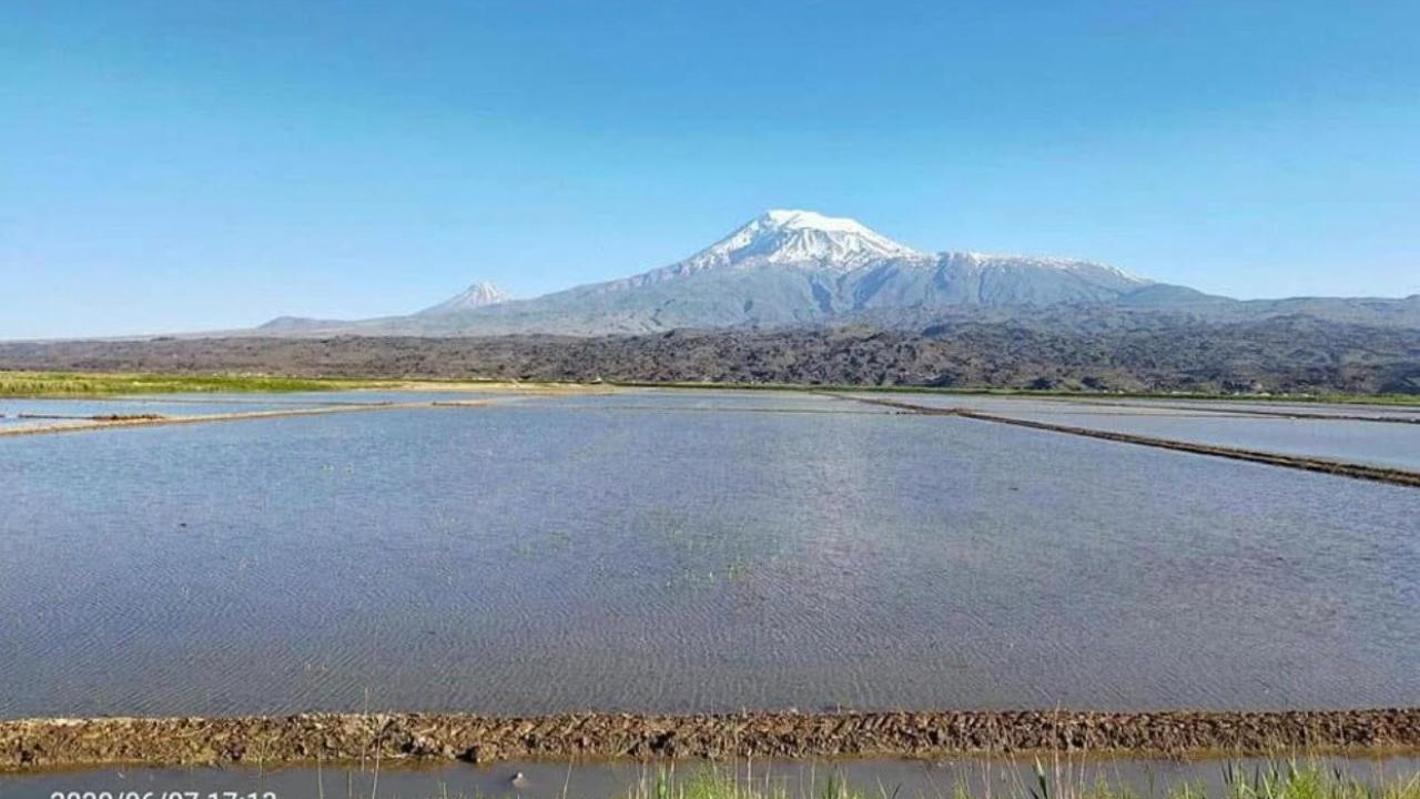 Iğdır’da Pirincin Serüveni: Unutulan Bir Bereketin Hikâyesi