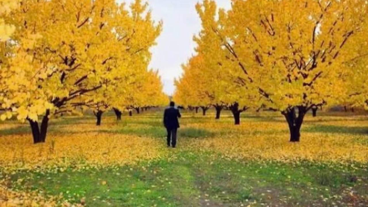 IĞDIR’DA SONBAHAR