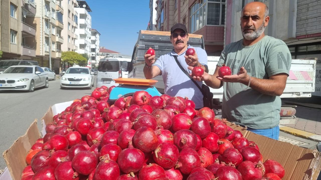 Iğdır’ın Narları Tezgâhlarda Yerini Aldı