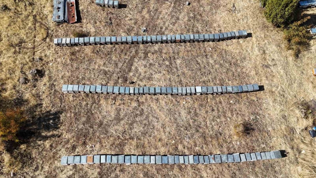 İklim Değişikliği Tunceli Bal Rekoltesini Vurdu: Üretim Bin 600 Tondan 900 Tona Geriledi