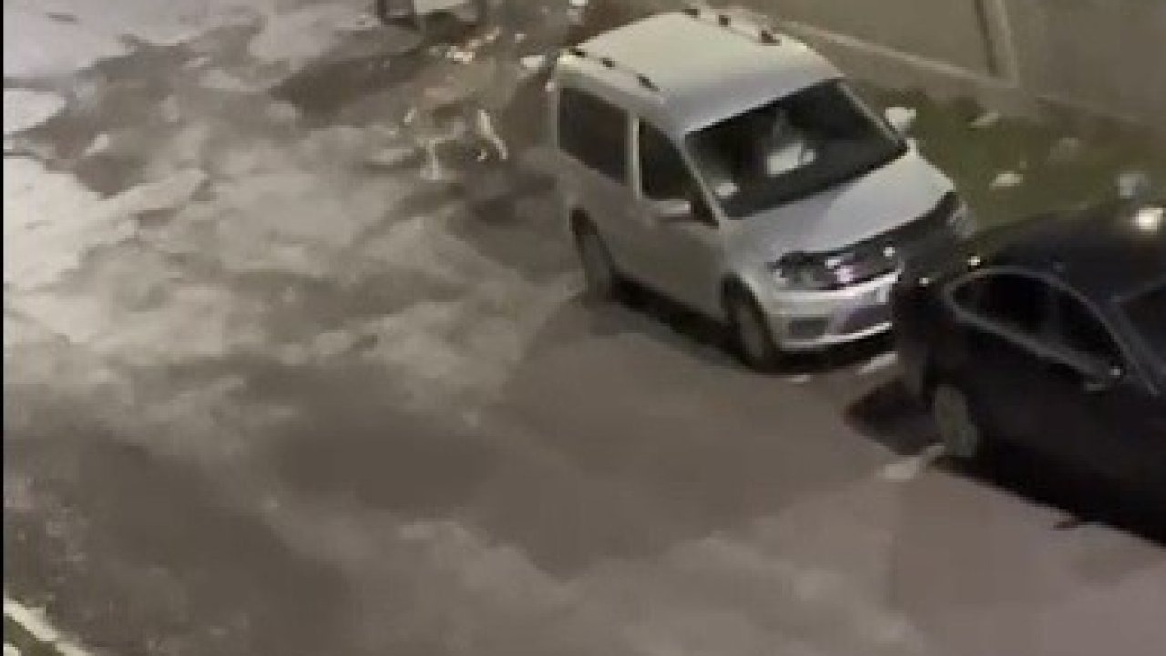 Kars’ta Korkutan Anlar: Kent Merkezine İnen Kurt Görüntülendi