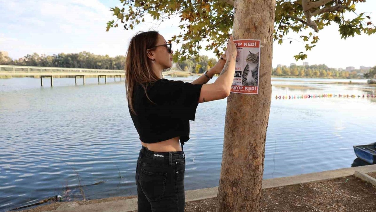 Kayıp Kedisi İçin 100 Bin Lira Ödül Koydu: &quot;3 Gündür Ağlamaktan Uyuyamıyorum&quot;