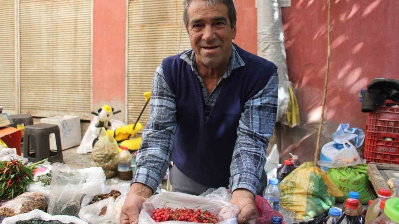 Kızılcık Tezgahlarda: Şifa Kaynağı "Süper Yiyecek" 150 TL’den Satılıyor