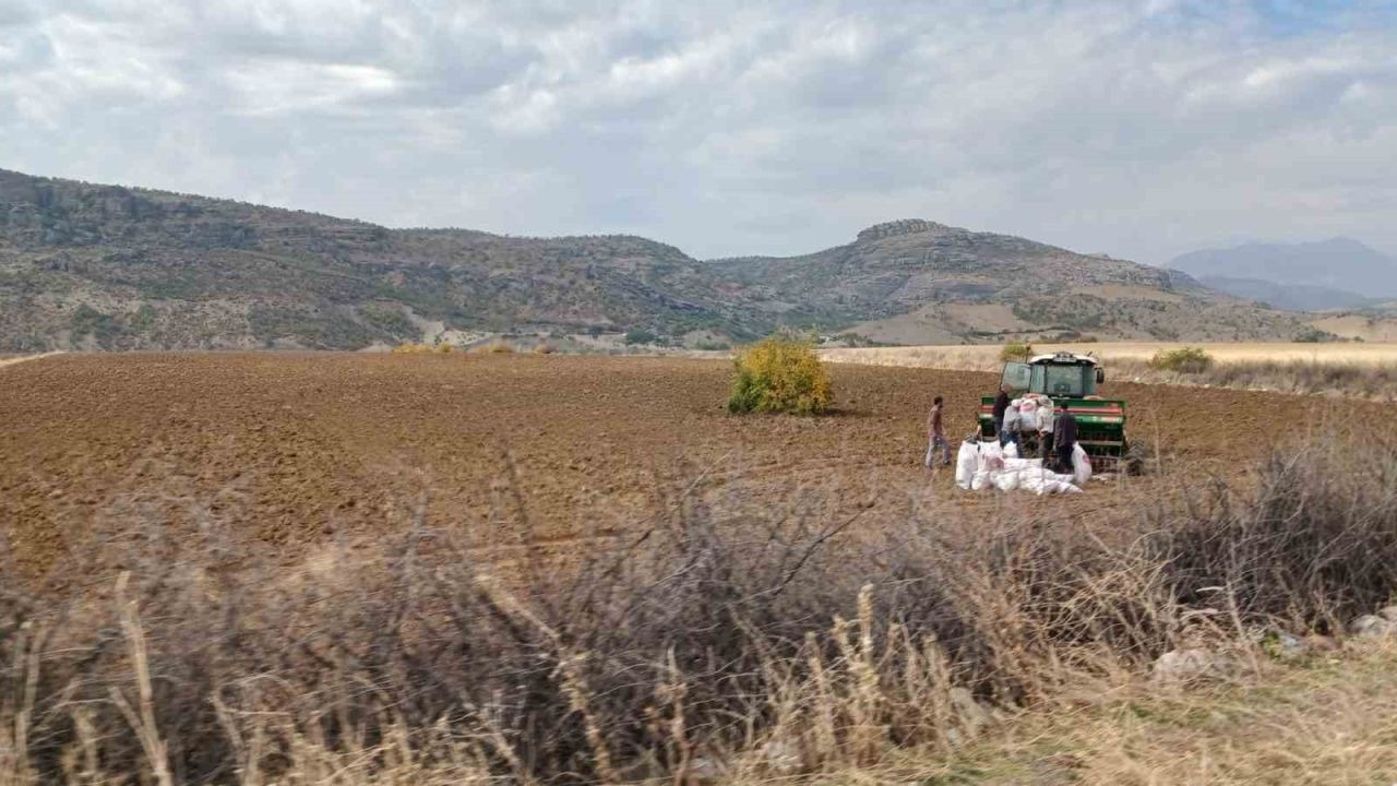 Kulp'ta Toprak Nemlendi: Çiftçiler Geç Başlayan Yağışlara Rağmen Ekime Hız Verdi