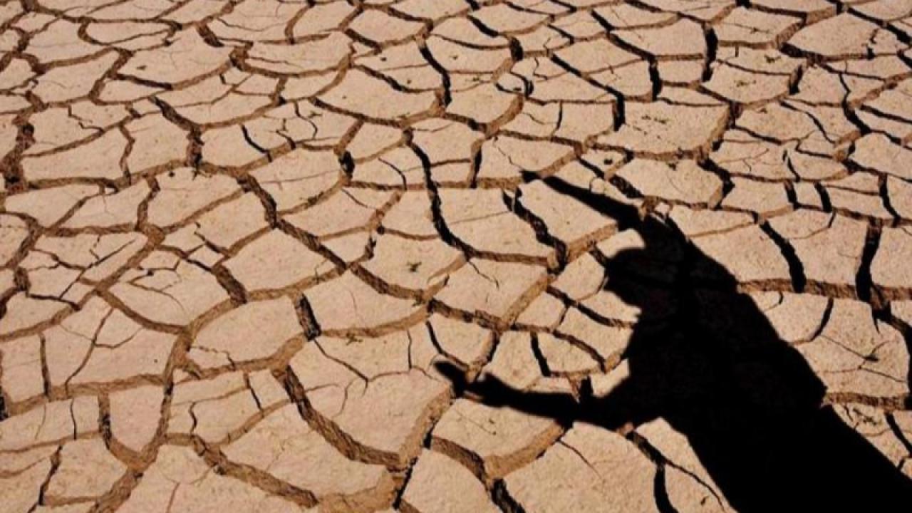 Kuraklık ve Yüksek Enerji Maliyetleri Endüstriyel Yemek Sektörünü Vuruyor