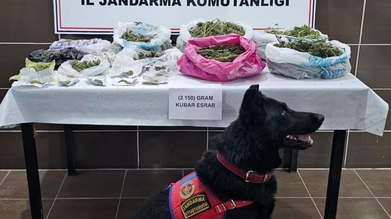 Malazgirt’te Kenevir Operasyonu: 2 Kilo 150 Gram Esrar Ele Geçirildi