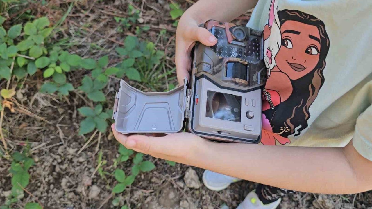 Minik Kâşif Bensu, Fotokapanla Borçka’nın Yaban Hayatını Görüntülüyor